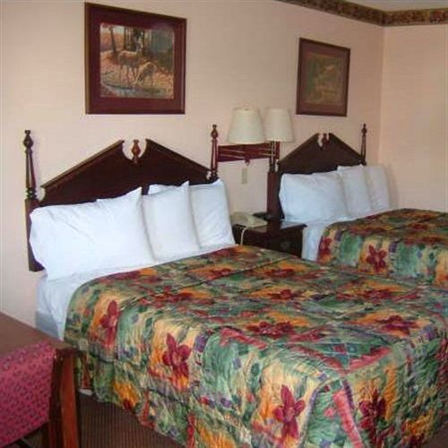 Clairmont Inn & Suites - Warren Zimmer foto